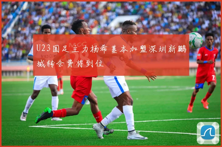 U23国足主力杨希基本加盟深圳新鹏城转会费将到位