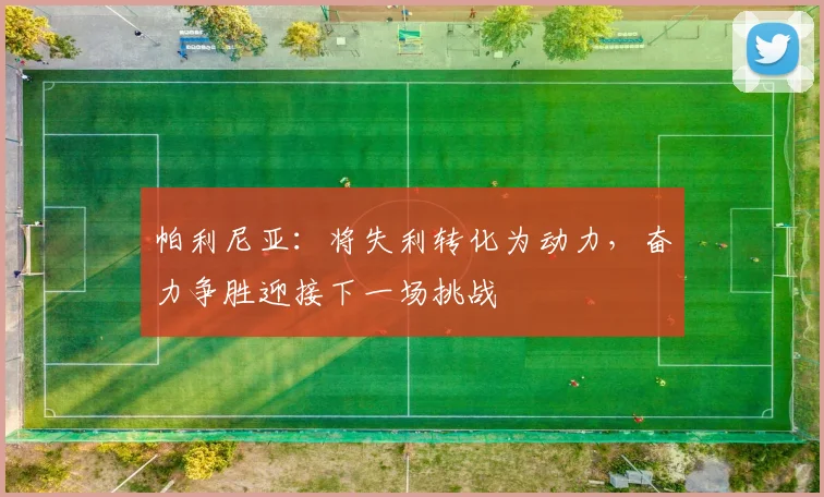帕利尼亚：将失利转化为动力，奋力争胜迎接下一场挑战